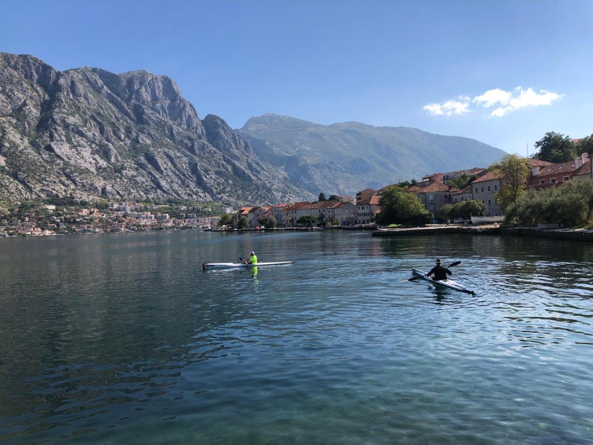 Magnolia Apartment Kotor Dış mekan fotoğraf